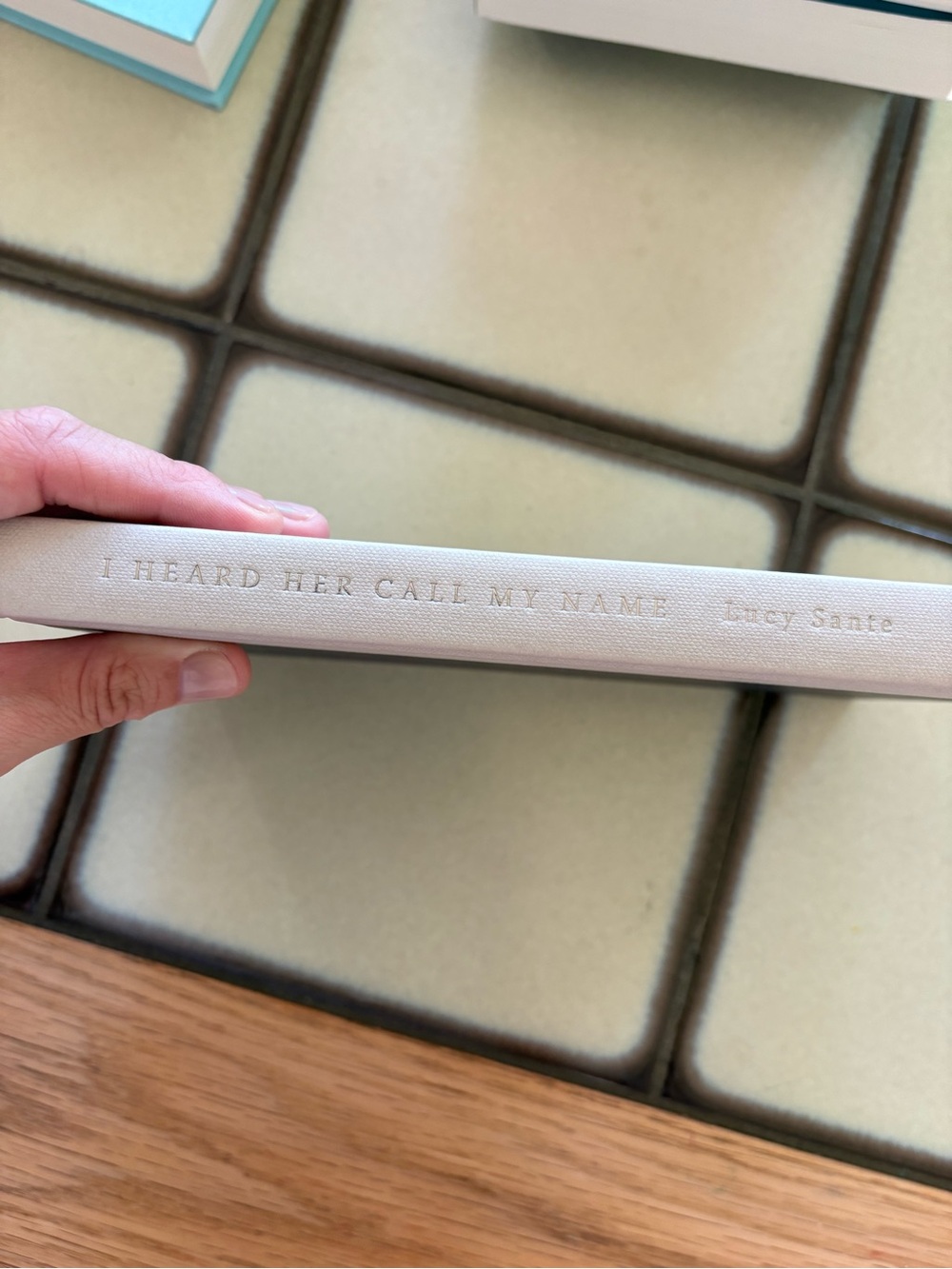 Book: I Heard Her Call My Name by Lucy Sante Hardcover